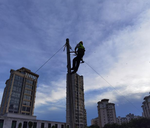 1738913275301896.png 1738913275301896.png